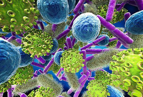 germs